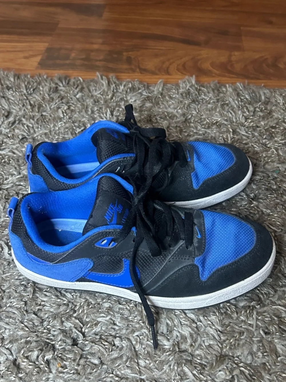 Nike SB Alleyoop Sneakers - Picture 2 of 5